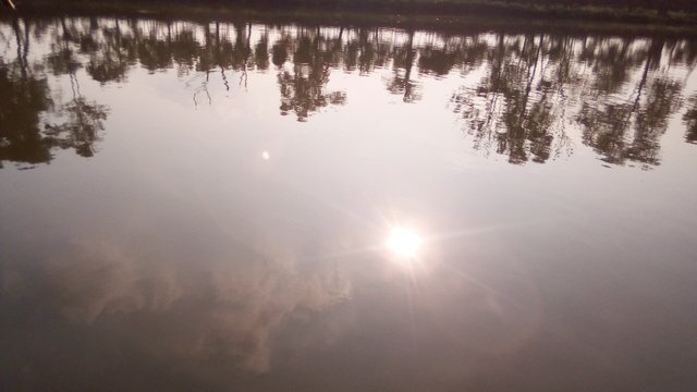 IMG_20200609_165707.jpg
