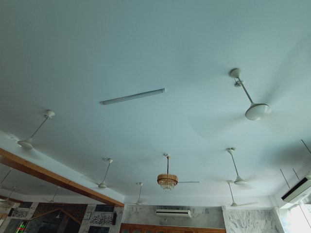 1000030447.jpg