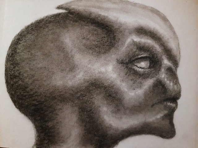 20250501_113237.jpg