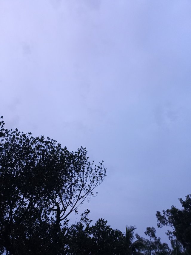 IMG20250805185036.jpg