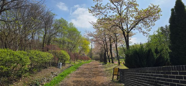 KakaoTalk_20250420_121618946_26.jpg