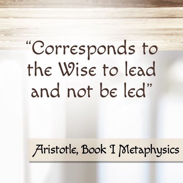 The meaning and importance of practical wisdom according to the philosophy of Aristotle.jpg