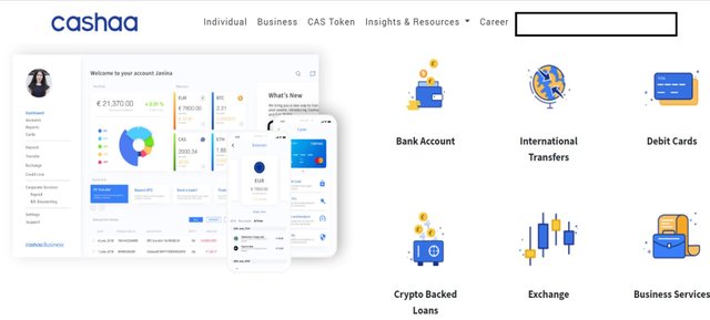 cashaa website.jpg