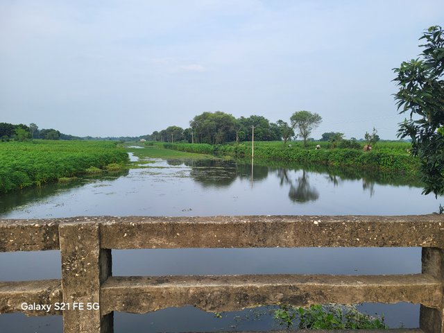 20250719_174331.jpg