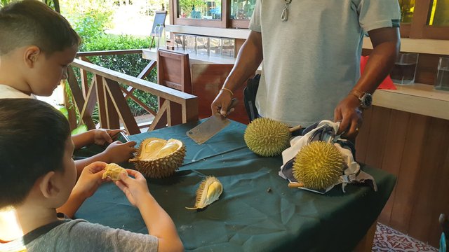 durian7.jpg