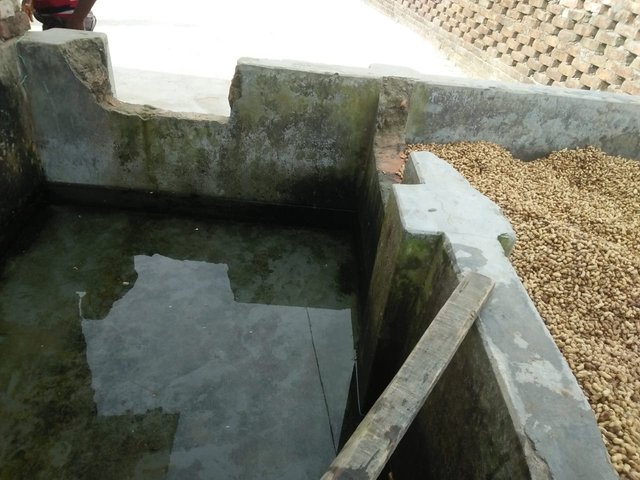 1000044058.jpg
