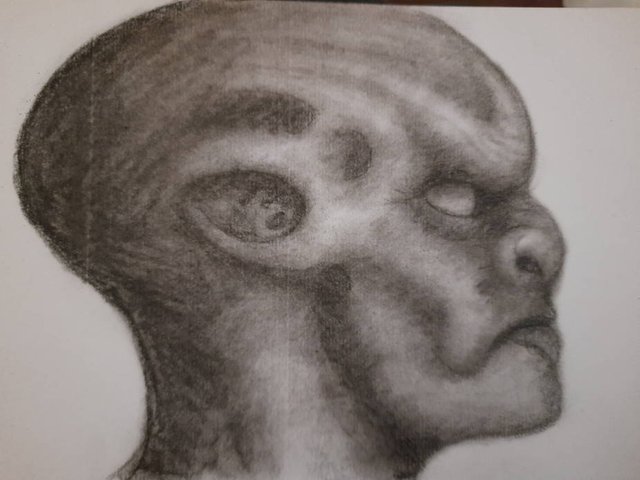 20250628_110047.jpg