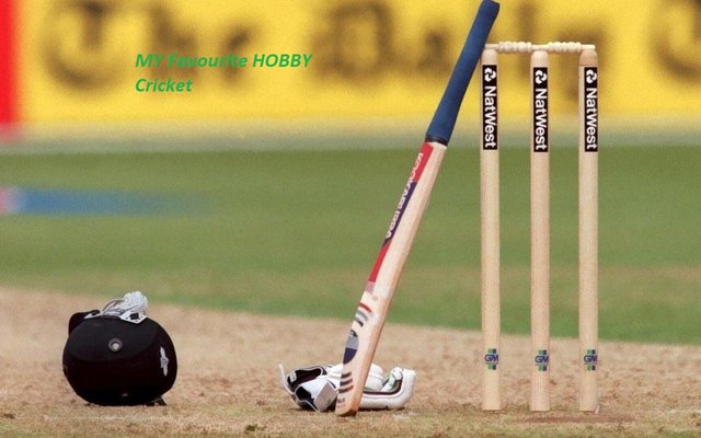 cricket-former-sa-bowler-tsotsobe-handed-eight-year-ban-for-match-fixing.jpg