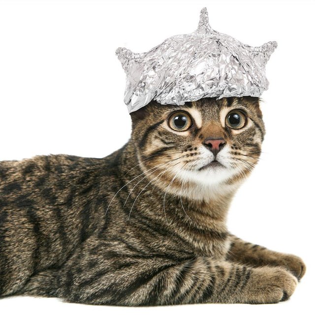 tinfoilhatday-3-1024x1024.jpg