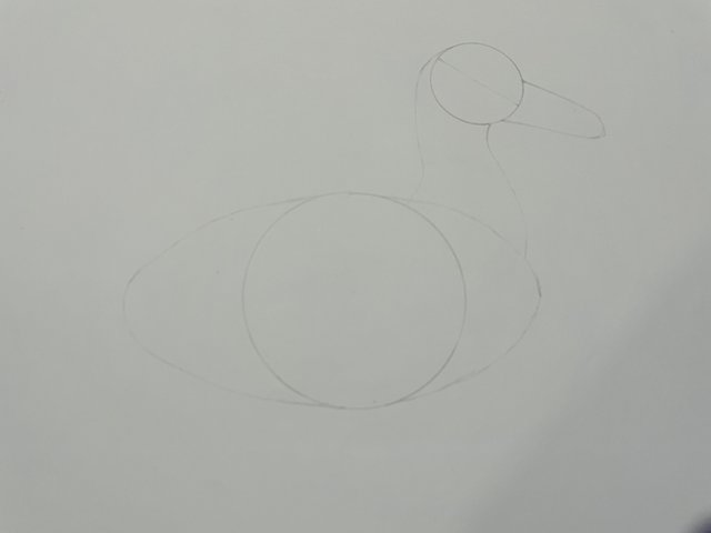 IMG_1732.jpeg