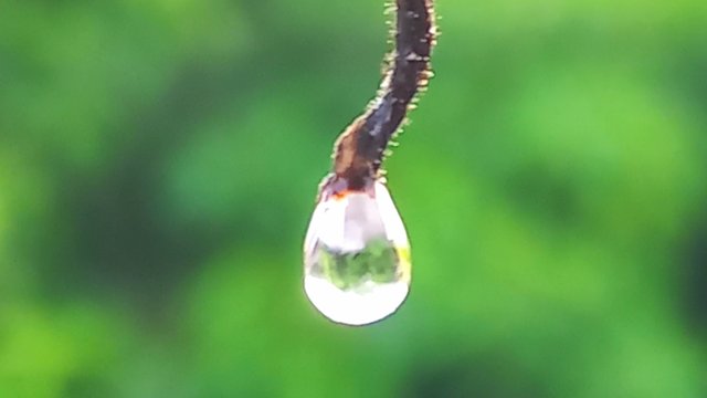 20250607_061022.jpg