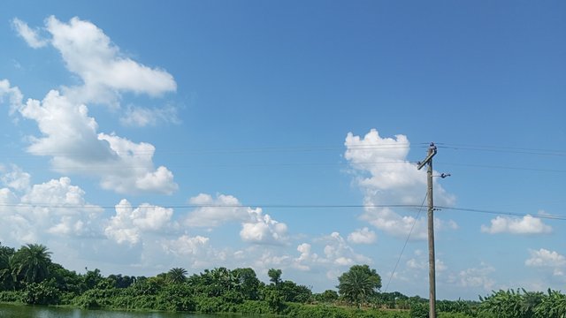 IMG_20240829_145146_7.jpg