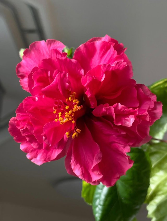 IMG_20250911_084552.jpg