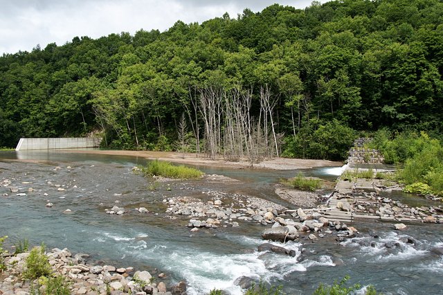 Japan-Hokkaido12802-295.jpg