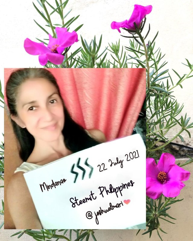 steemit philippines  joshuelmari4 verification flowers single vietnam rose  with Ana.jpg