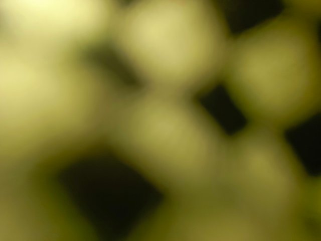 1000664793.jpg