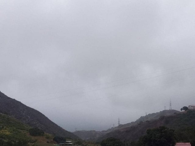IMG_20250315_175212.jpg