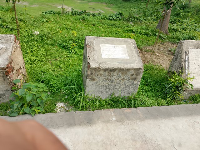 1000038273.jpg
