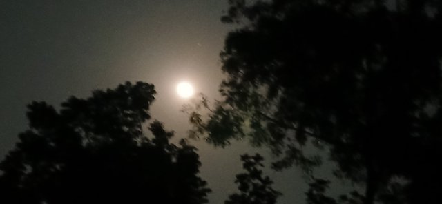 20250510_193906.jpg