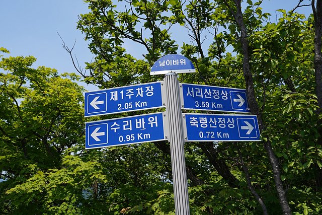 b-DSC04133.JPG