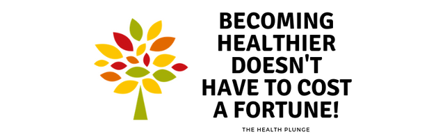 Becoming Healthier Doesn't Have to cost a fortune!.png