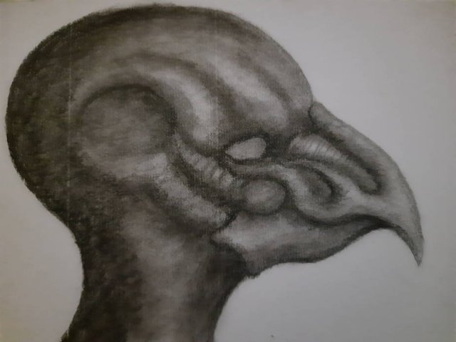 20250705_111749.jpg