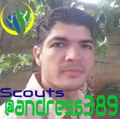 LogoSCOUTS andress389.JPG