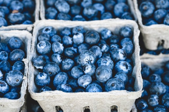 blueberries-1326154_1280.jpg