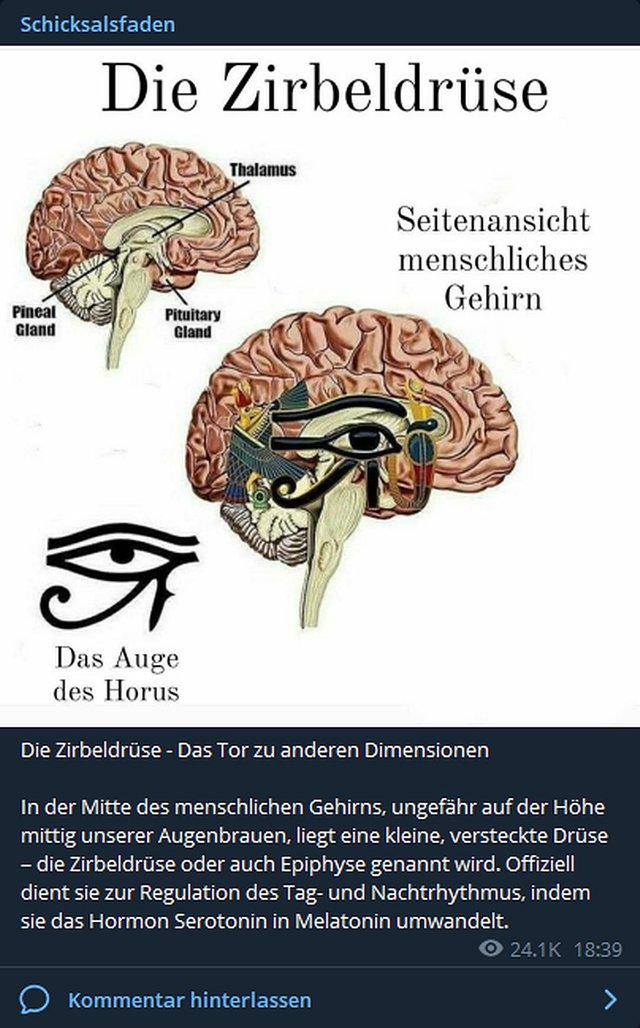 Die Zirbeldrüse - Das Tor zu anderen Dimensionen.jpg