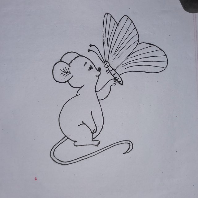 20250925_113935.jpg