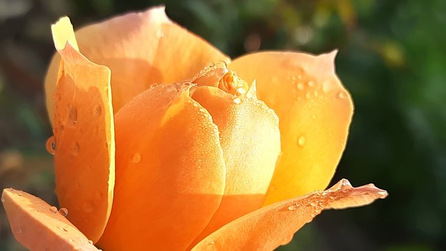 20210125_092030.jpg