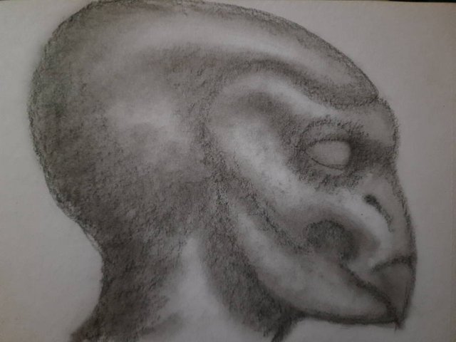 20250528_104952.jpg