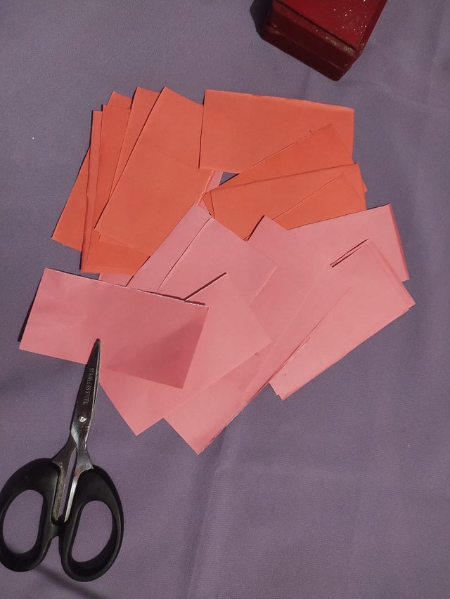 1000009731.jpg