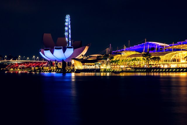 Singapore-nights-2.jpg