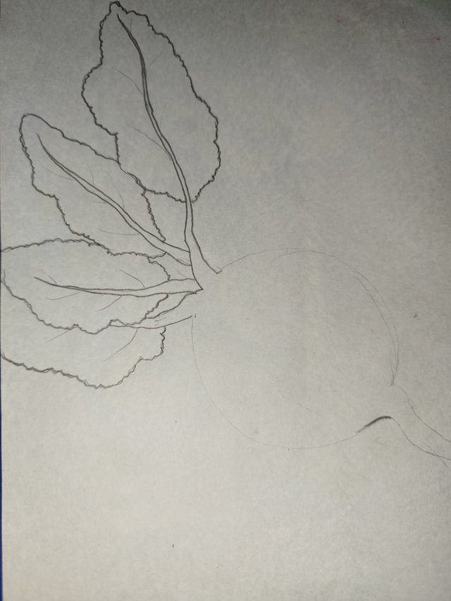  2025-05-24 at 8.06.23 PM.jpeg