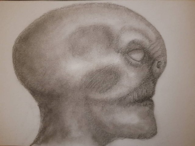 20250815_103606.jpg