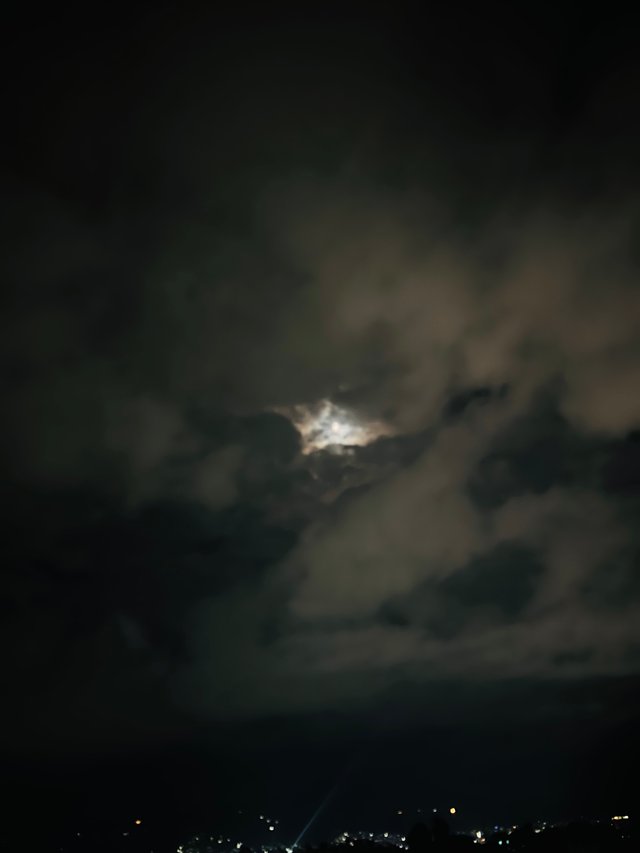 IMG_0109.jpeg