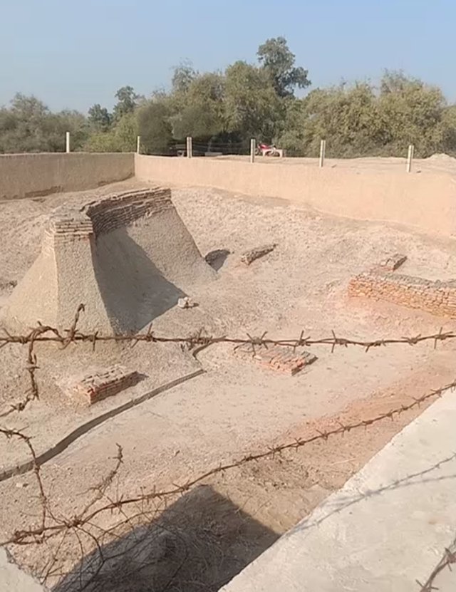 1000030833.jpg