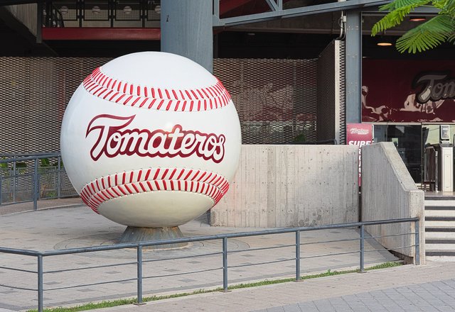 Tomateros_Ball2019.jpg