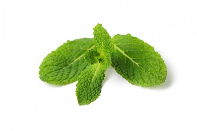 fresh-mint-leaves-isolated_144627-30022.jpg