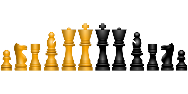 chess-145184_1280.png
