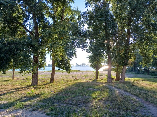 20250903_072534.jpg