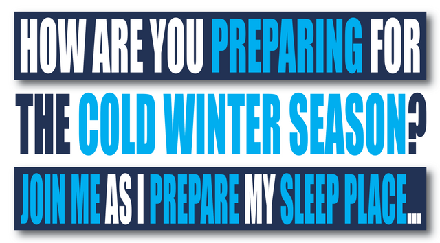 preparing for winter, cold weather, blankets, comforter, winter, jeronimorubio, jeronimo rubio 2.png