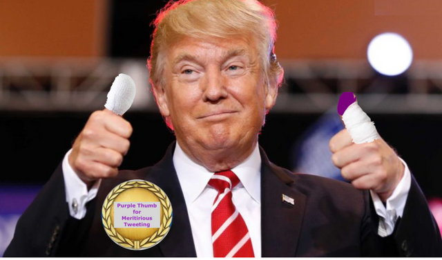 Trump's Purple Thumb Award For Meritorious Tweeting.png