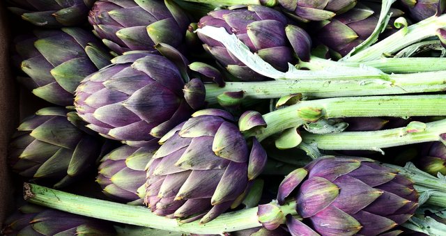 artichoke-2237845_1920.jpg