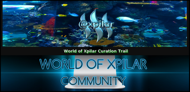 WORLD OF XPILAR LOGO BILDE 2 beskjært 855x416 bruk 2.png