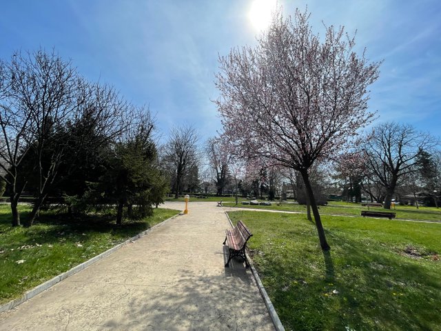 IMG_5201.jpeg