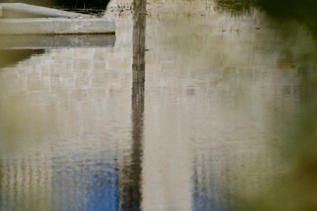 DSC01531.jpeg