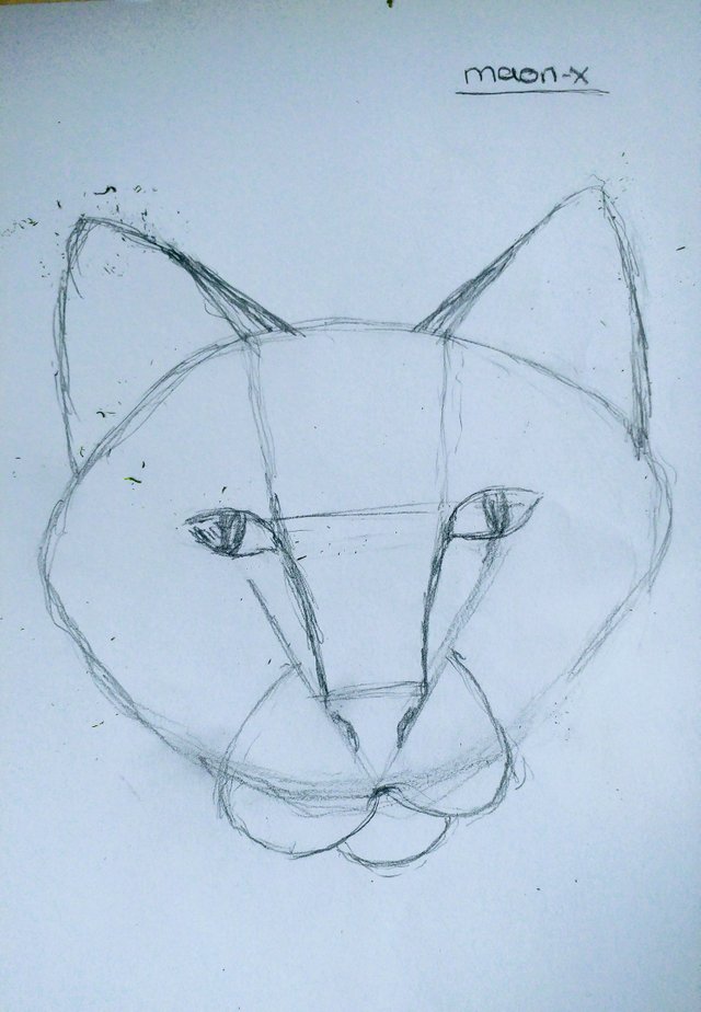 Kedi Kafası Çizimi / Draw a Cat Head — Steemit