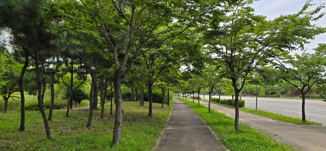 KakaoTalk_20250801_022604629_11.jpg